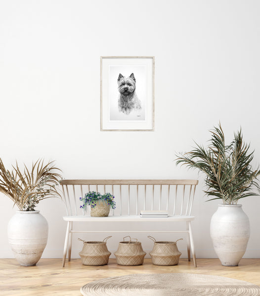 Cairn Terrier dog print