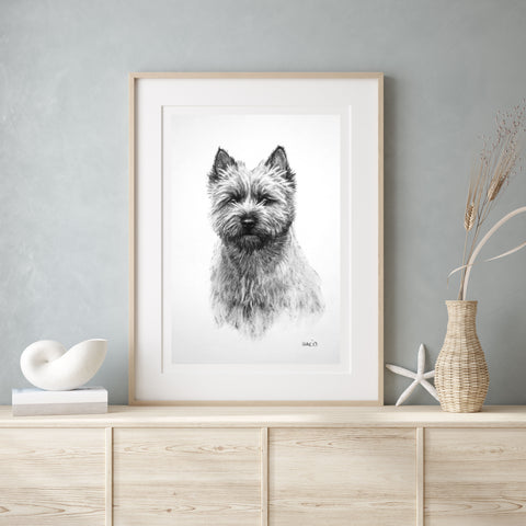 Cairn Terrier dog print