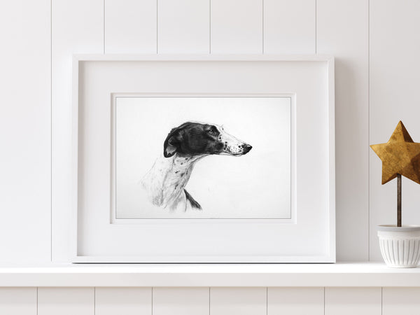 Greyhound dog print