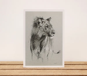 A6 Wildlife card - Windy Lion