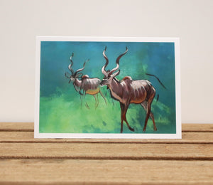 A6 Wildlife card - Two Kudu