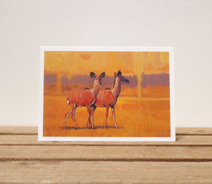 A6 Wildlife card - Kudu