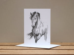 A6 Horse card - Windy