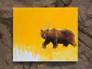 Brown Bear 1/16