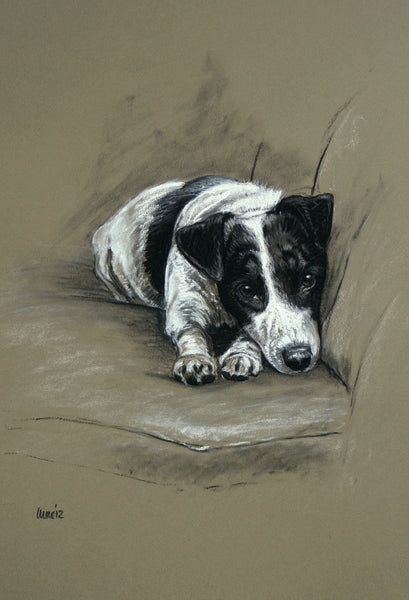 'In My Spot' Jack Russell Terrier Dog Print