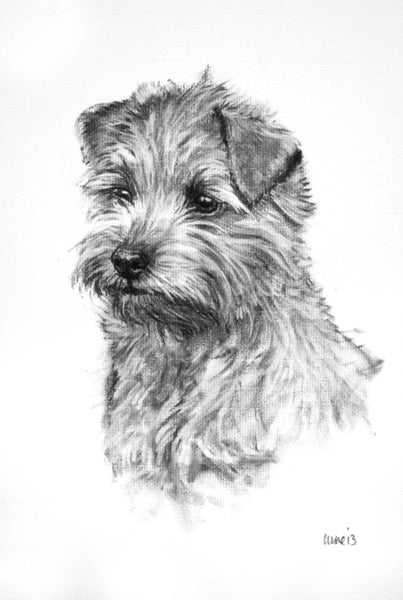 Norfolk Terrier dog print