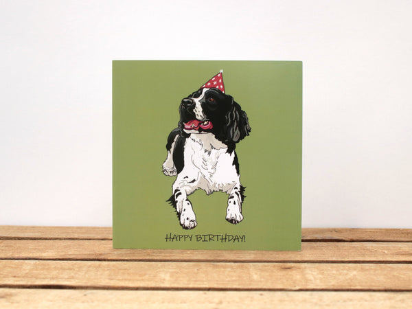Black and White Springer Spaniel Dog Birthday card